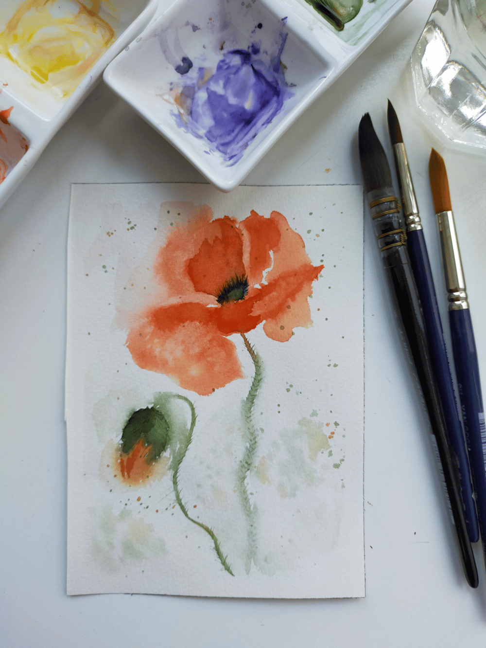Expressive Watercolor Florals: paint loose Poppies - image 2 - student project