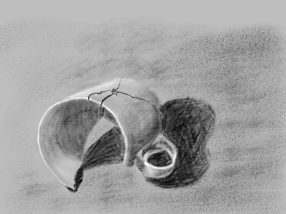 Light and shadow. Fascinating how chaotic yet structured it is - image 7 - student project