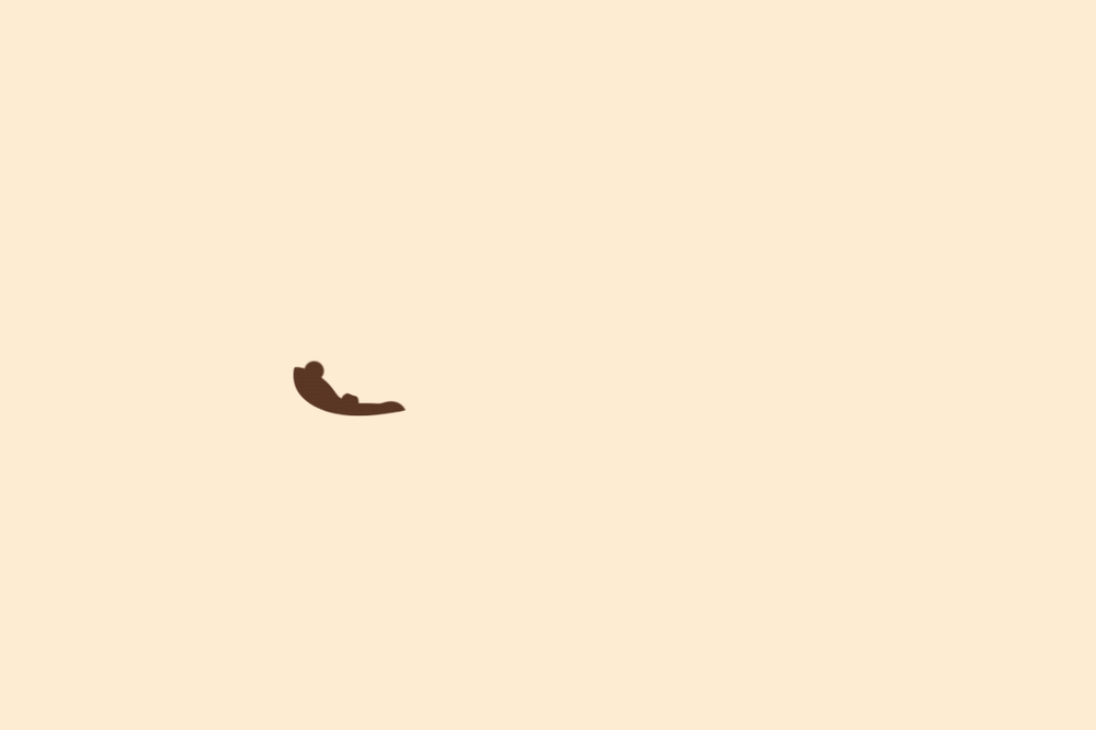 Username animation - image 1 - student project