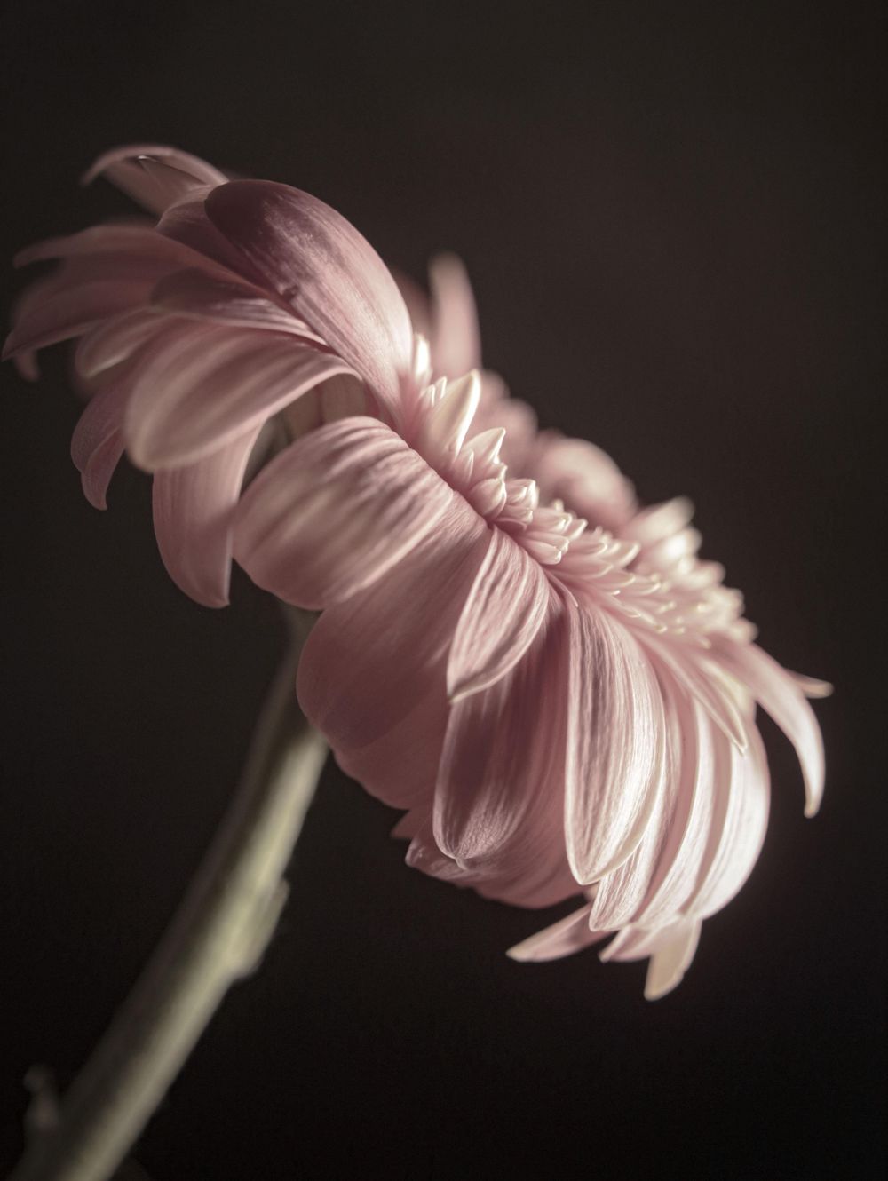 There is Beauty in Simplicity - image 6 - student project