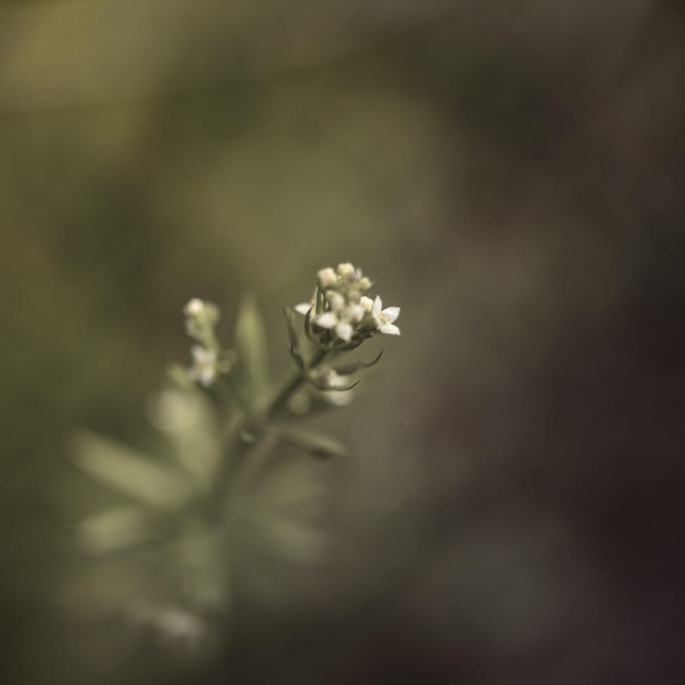There is Beauty in Simplicity - image 1 - student project