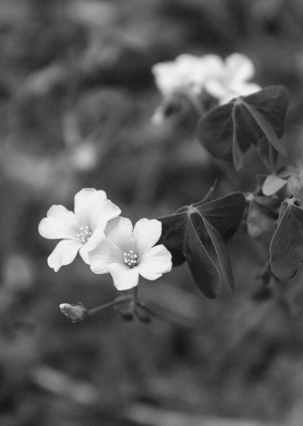 Manual Mode Basics - image 1 - student project