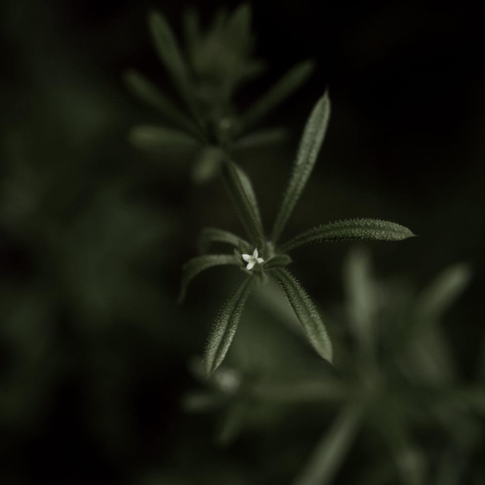 There is Beauty in Simplicity - image 3 - student project