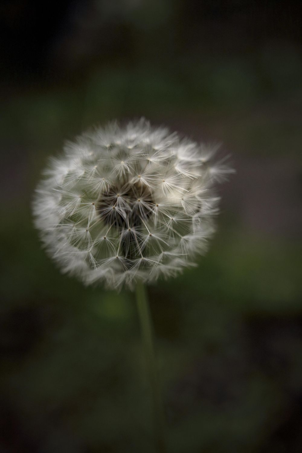 Manual Mode Basics - image 3 - student project