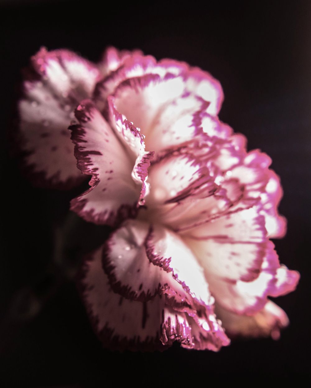 There is Beauty in Simplicity - image 7 - student project