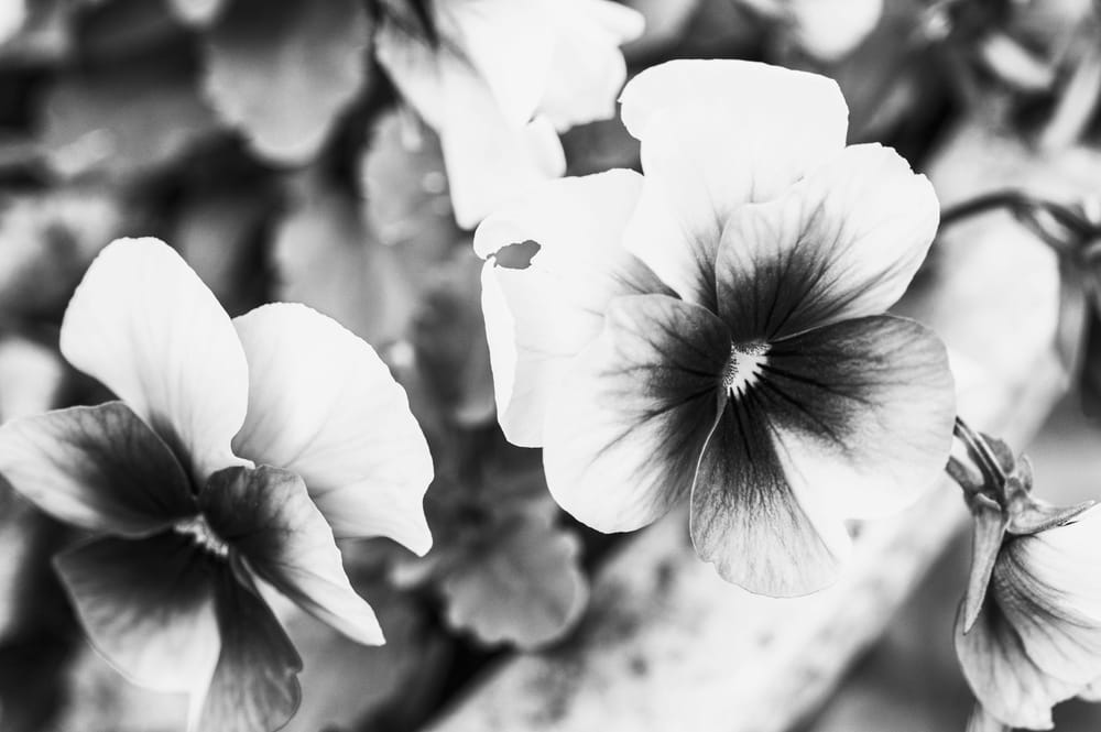 Black & White Mastery Skillshare Student Project