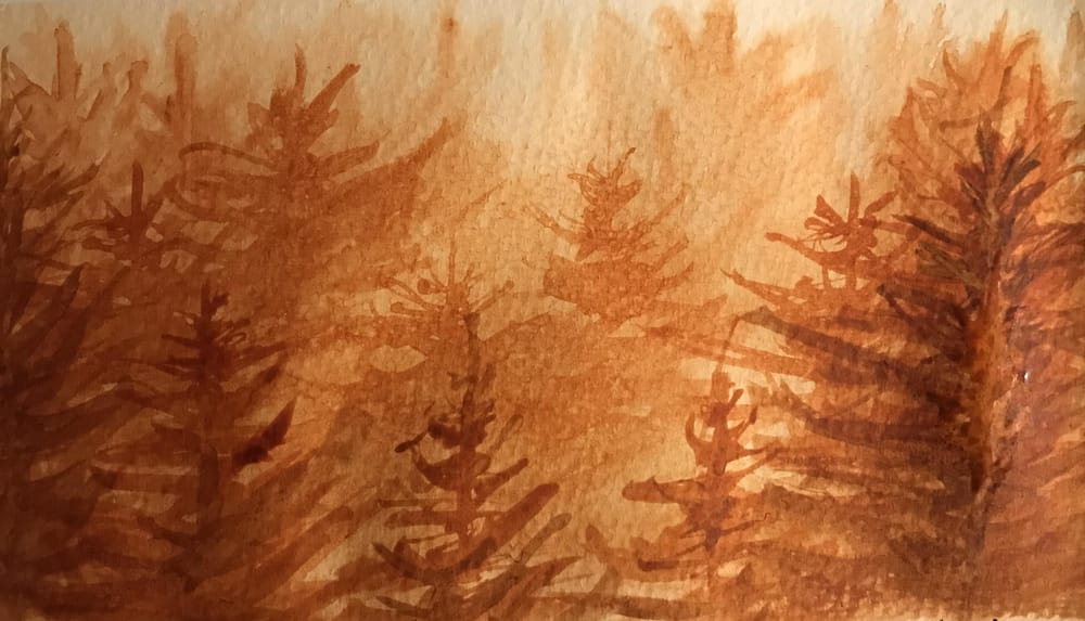 Work on washes - image 3 - student project