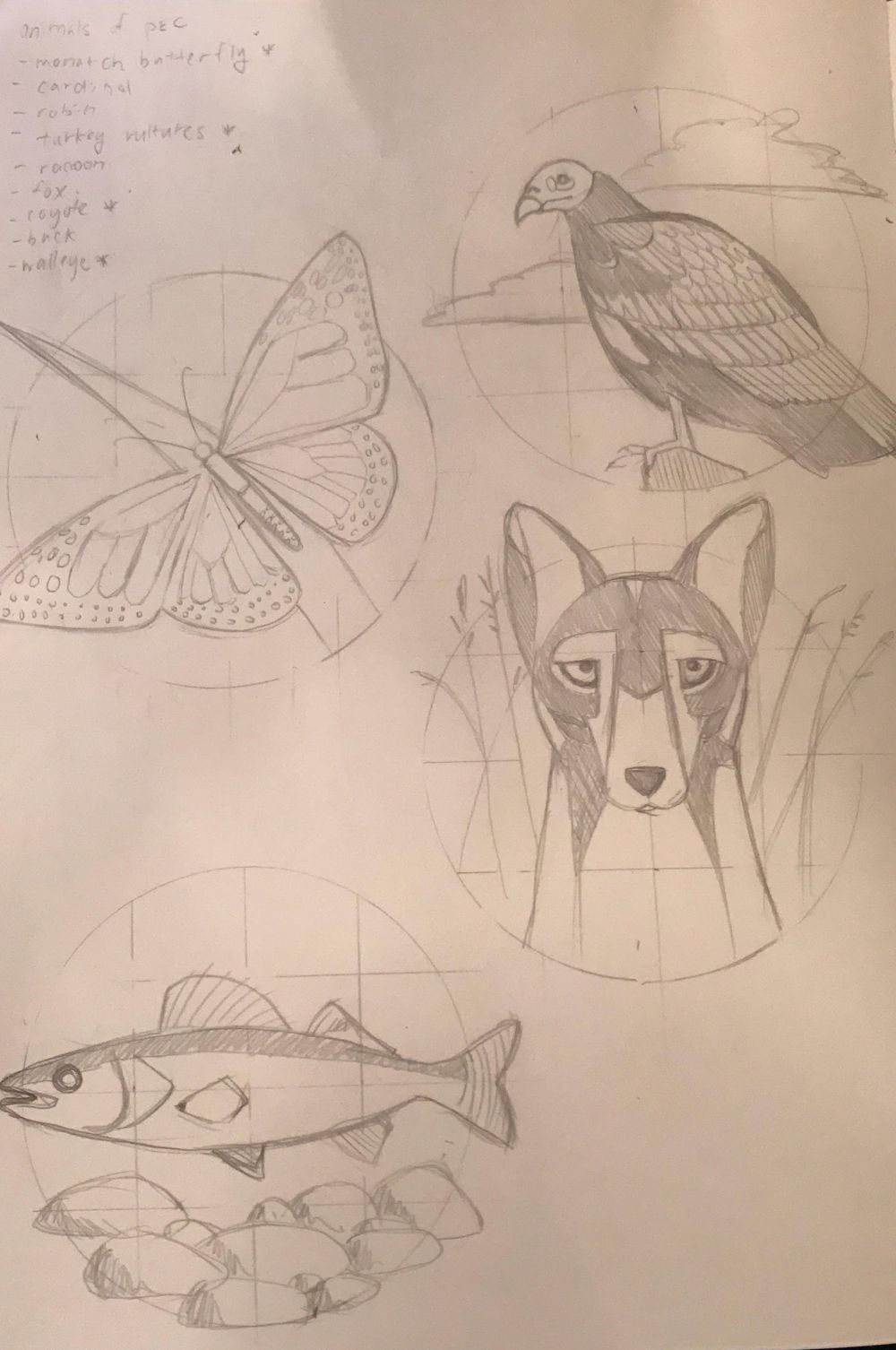 Wildlife of Prince Edward County - image 1 - student project