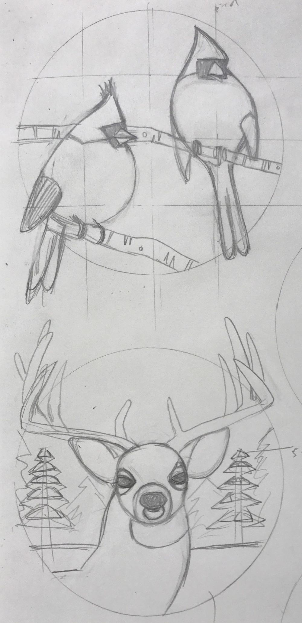 Wildlife of Prince Edward County - image 2 - student project