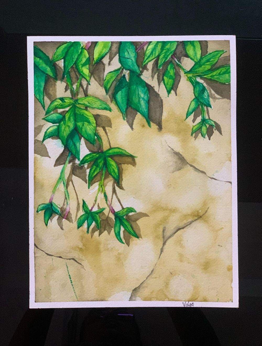Realistic shadows with watercolour - image 1 - student project