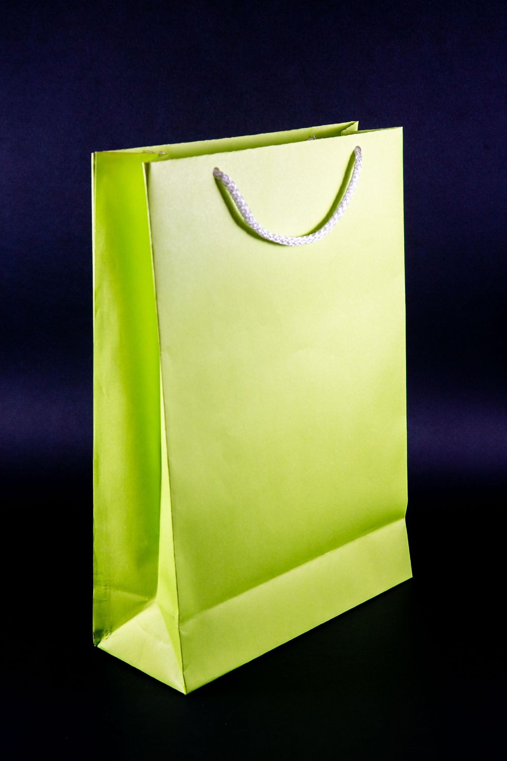 Gift Bags - image 8 - student project