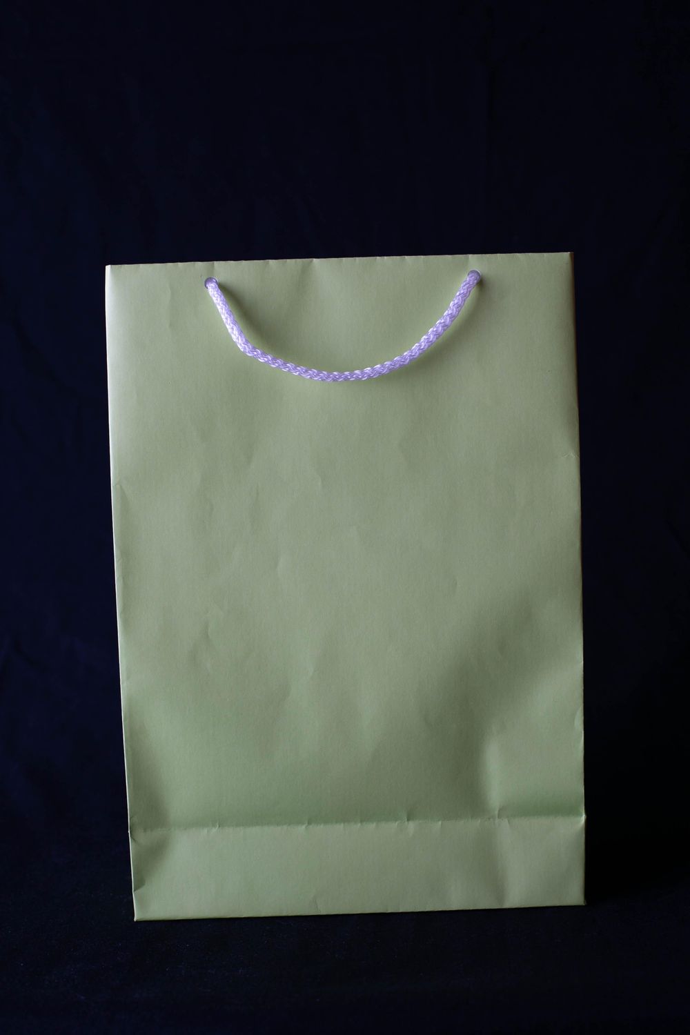 Gift Bags - image 3 - student project