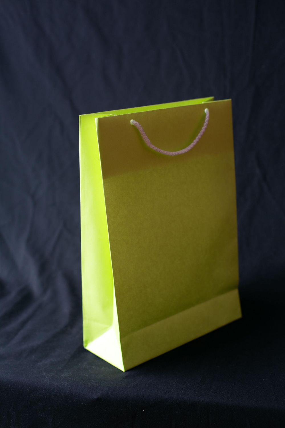Gift Bags - image 2 - student project