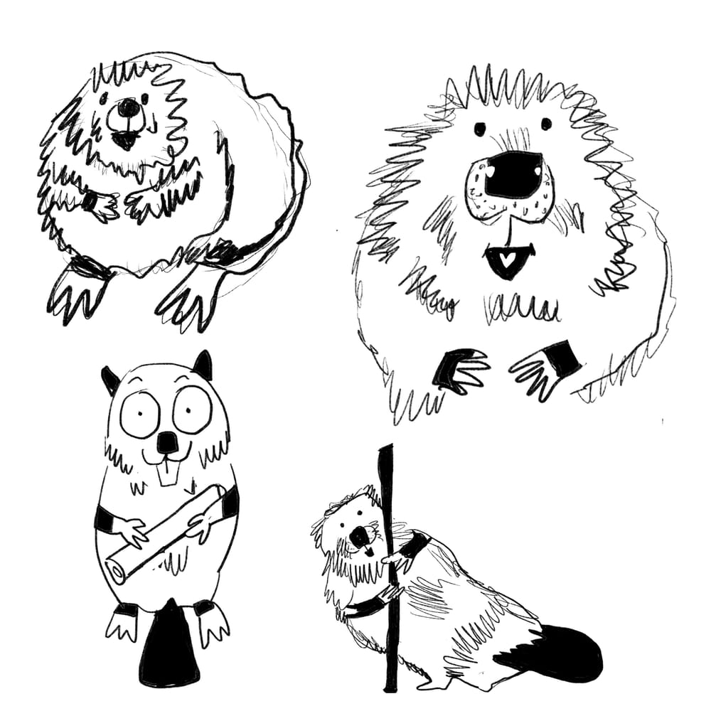 Beaver Fever - image 1 - student project