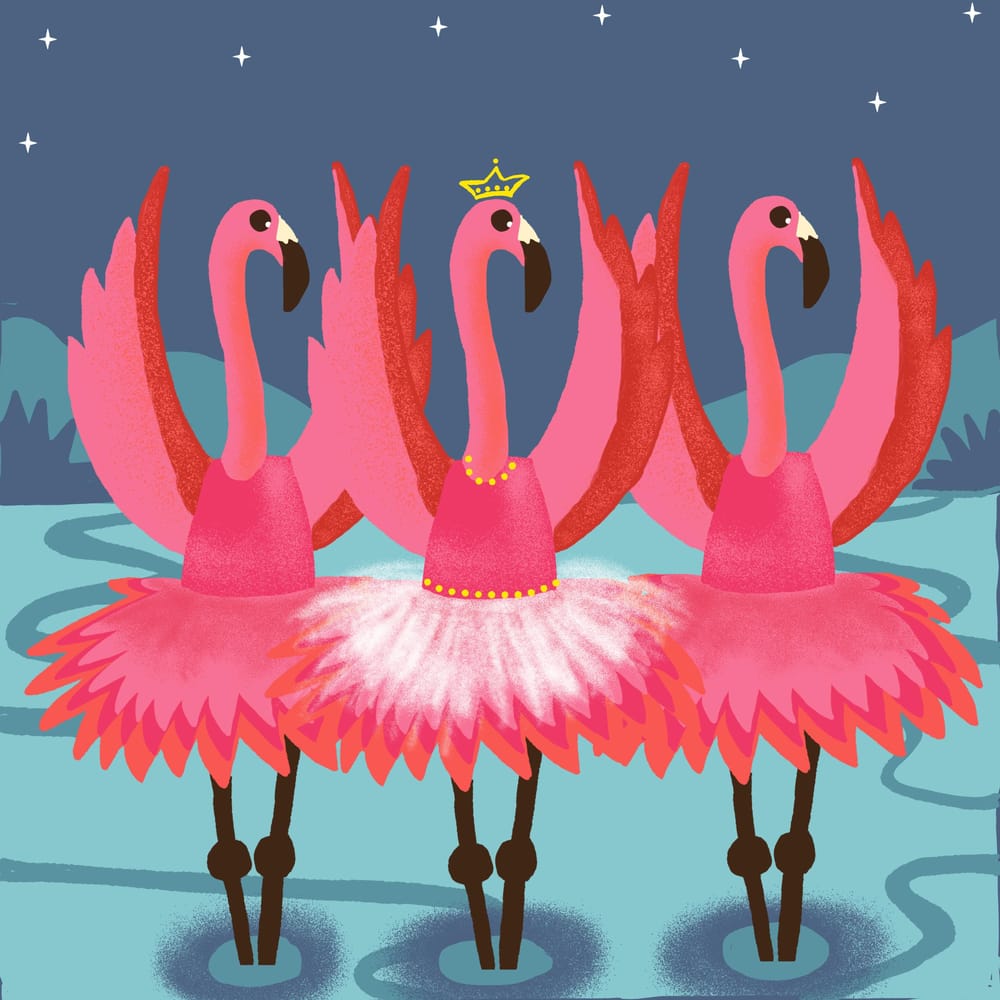 Flamingo Lake - image 3 - student project