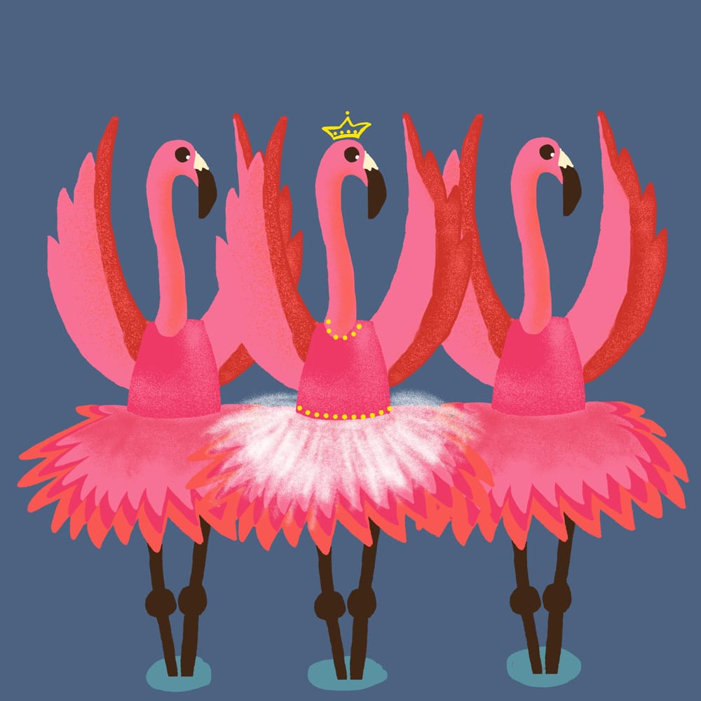 Flamingo Lake - image 2 - student project
