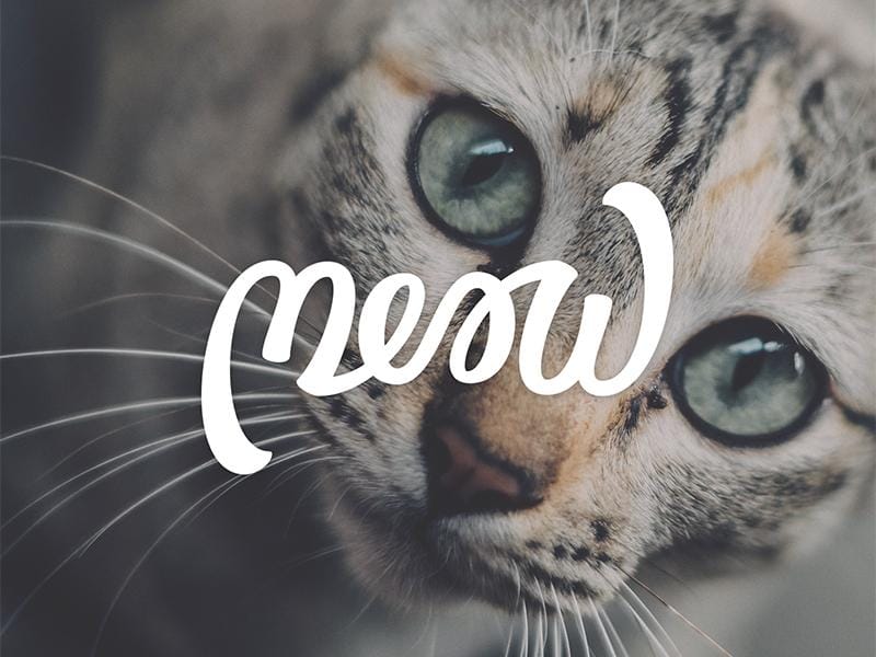 Meow - image 5 - student project