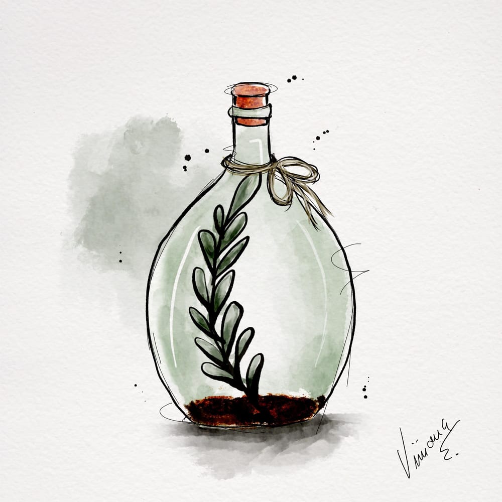 Bloom - image 2 - student project
