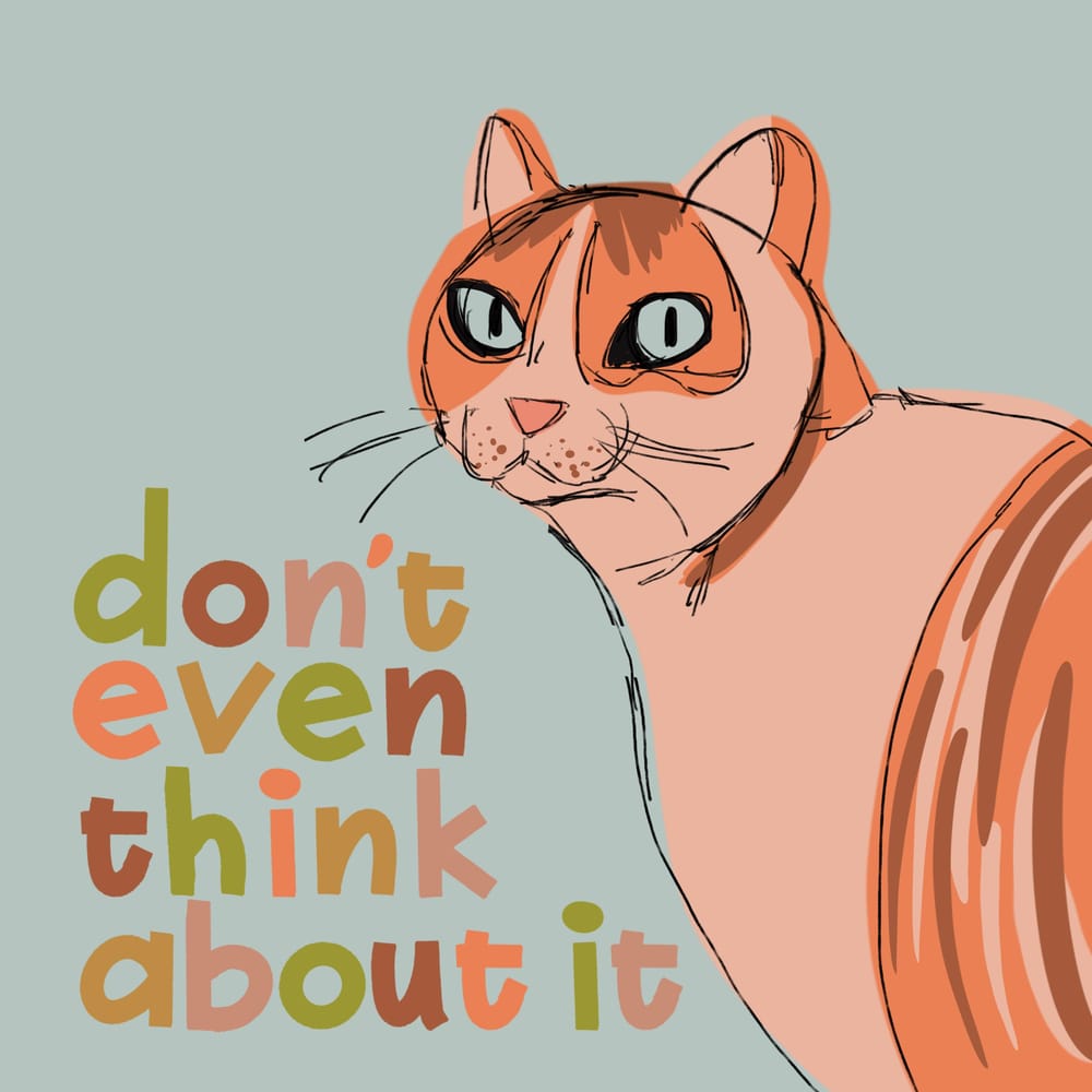 More cat! - image 1 - student project