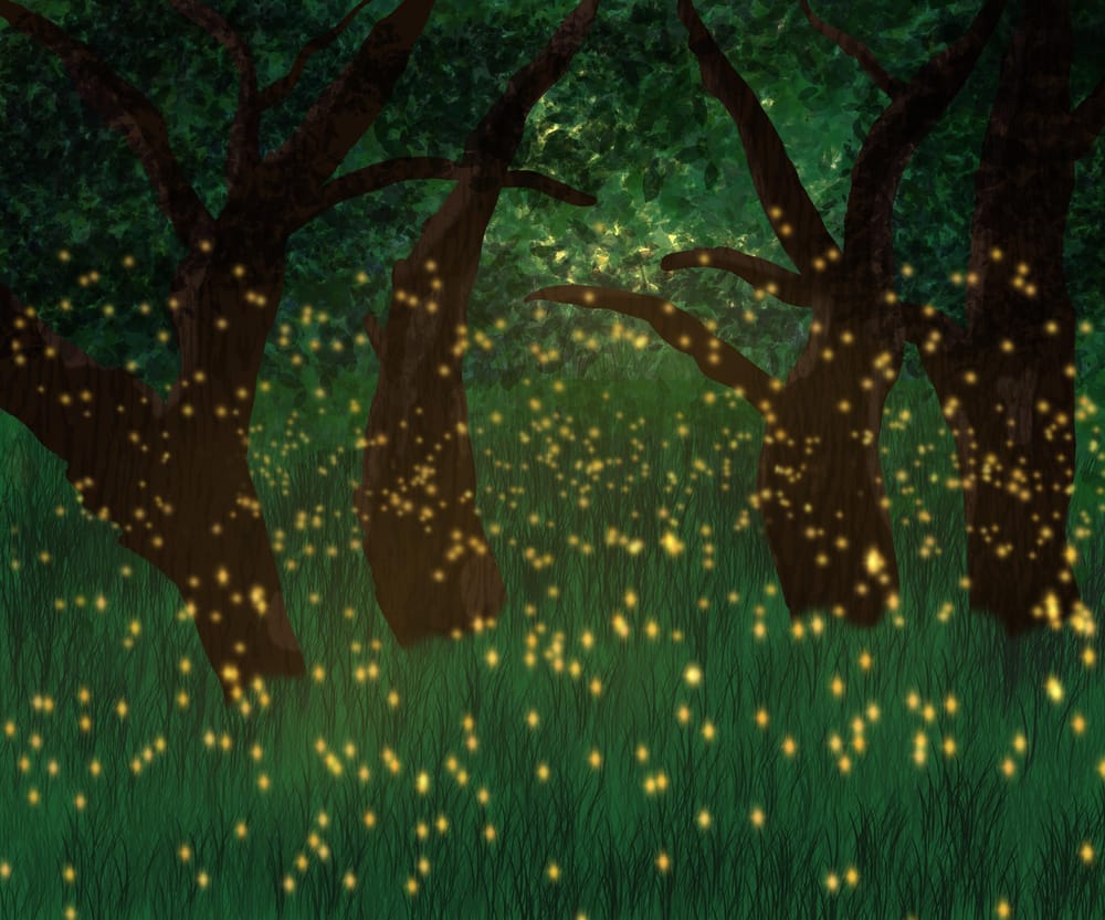 Fireflies - image 1 - student project