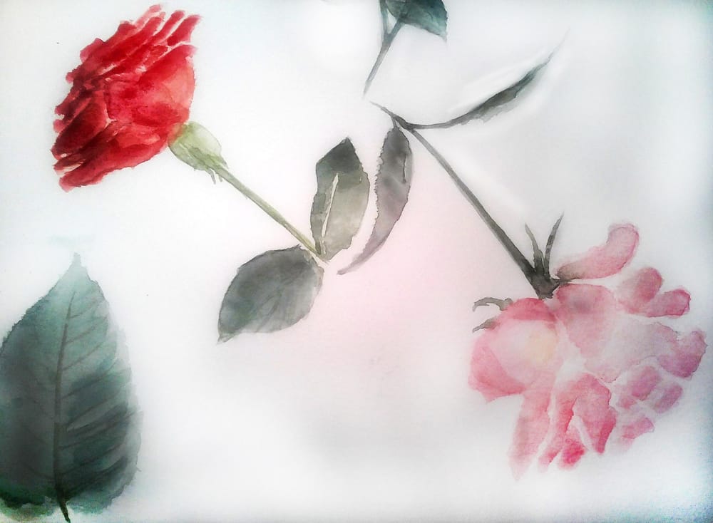 Roses - image 3 - student project