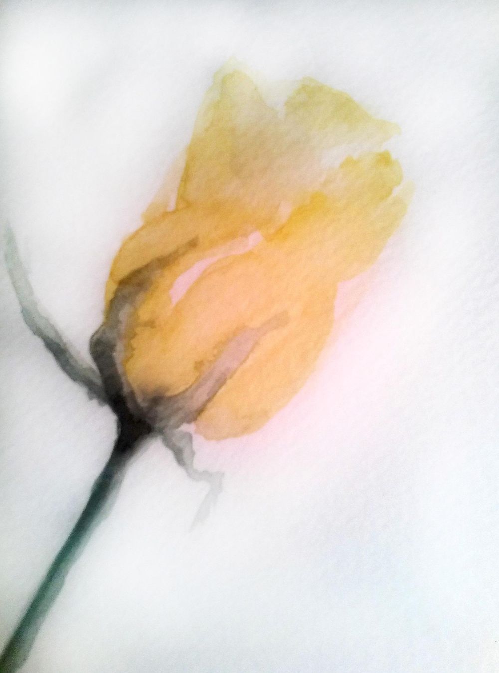 Roses - image 2 - student project