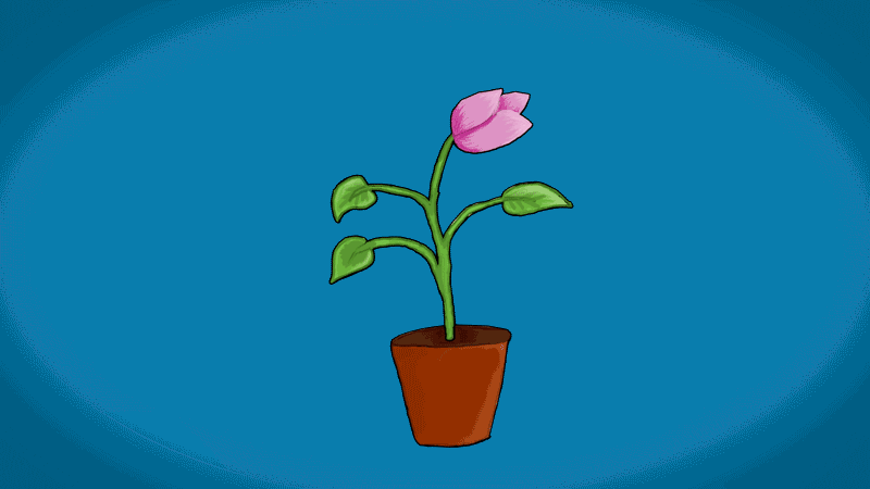 My practice with Puppet Tool - image 1 - student project