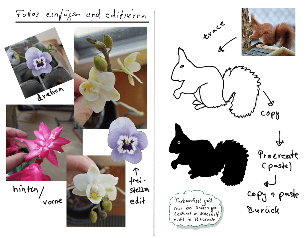 Echtes digitales Sketchbook - image 1 - student project