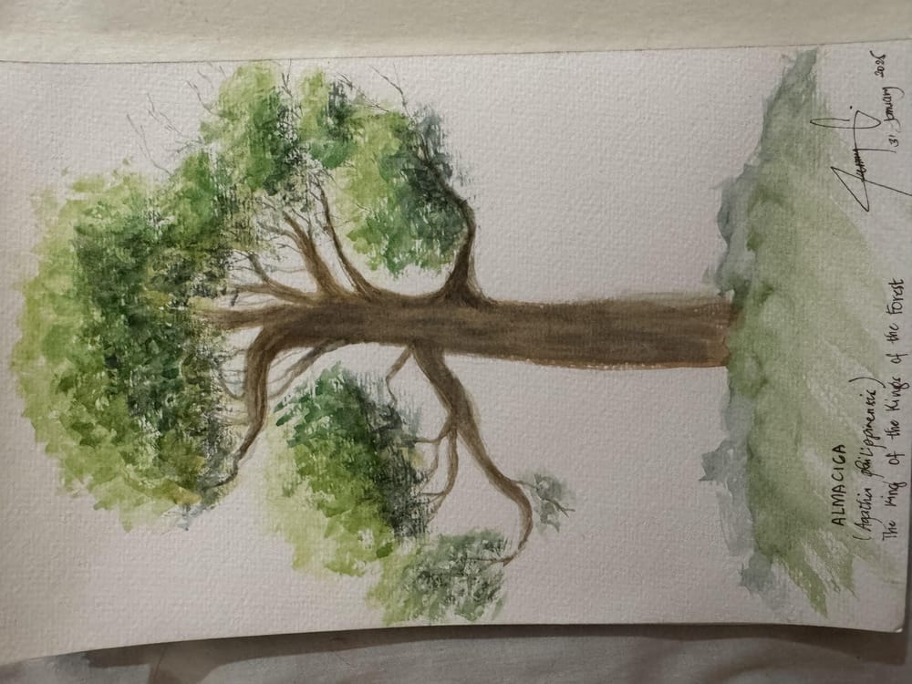 Trees - image 3 - student project