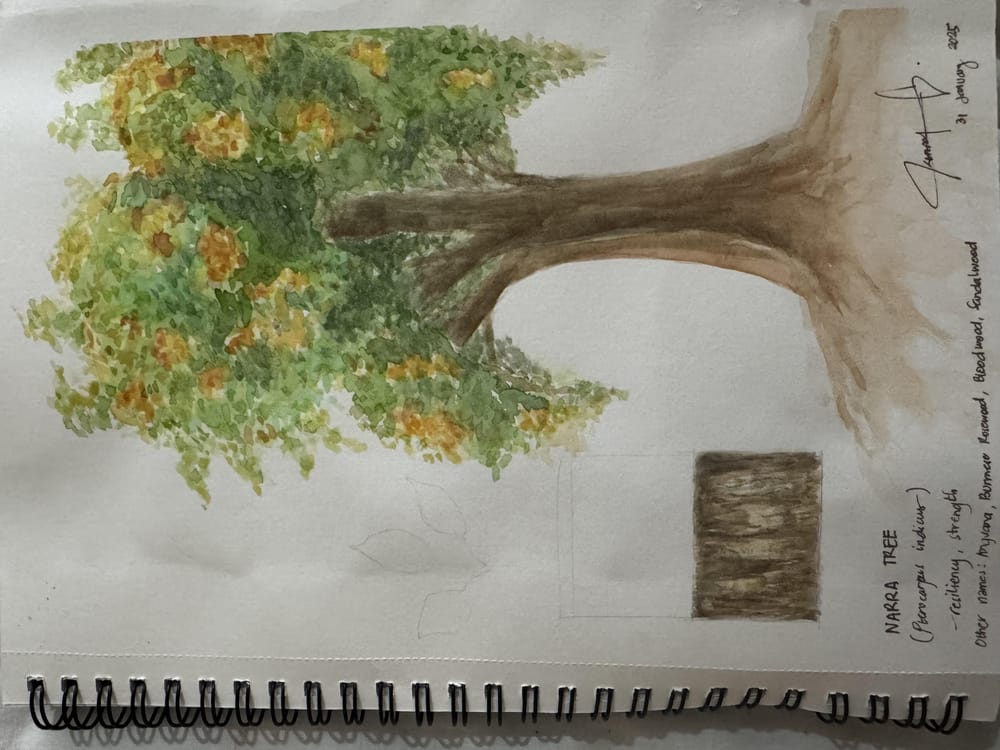 Trees - image 2 - student project