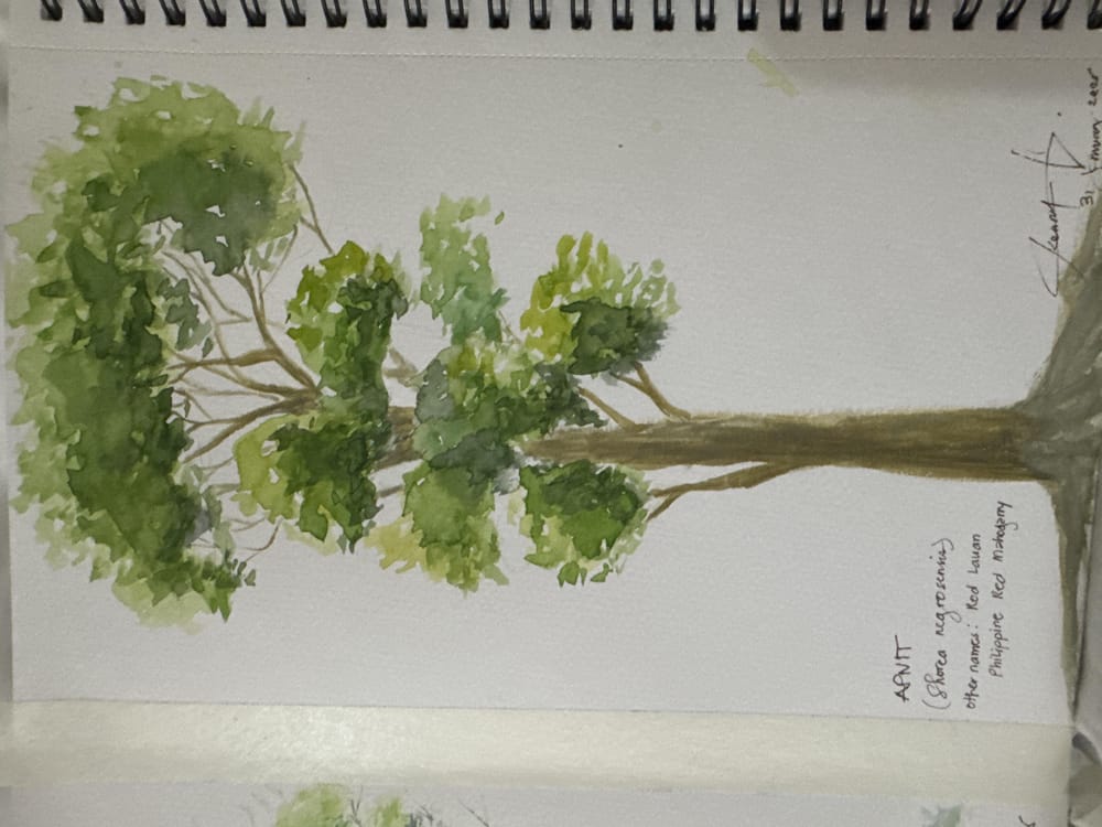 Trees - image 4 - student project