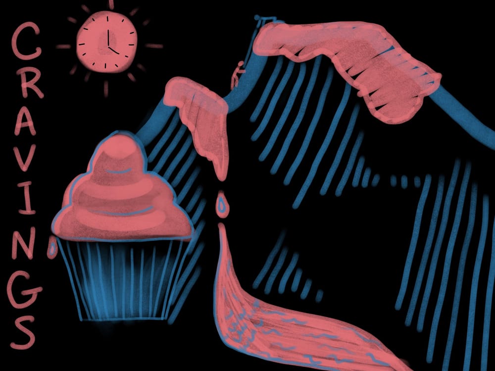 Illustrated Journaling: 14 Days of Prompts - image 7 - student project