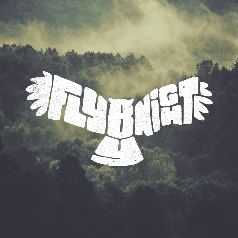 Owl - Fly By Night - image 3 - student project