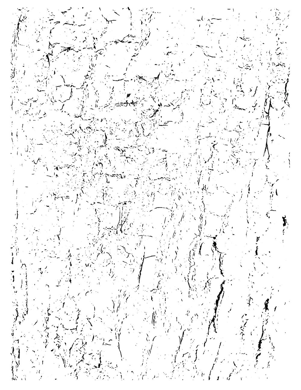 Tree Bark - image 1 - student project