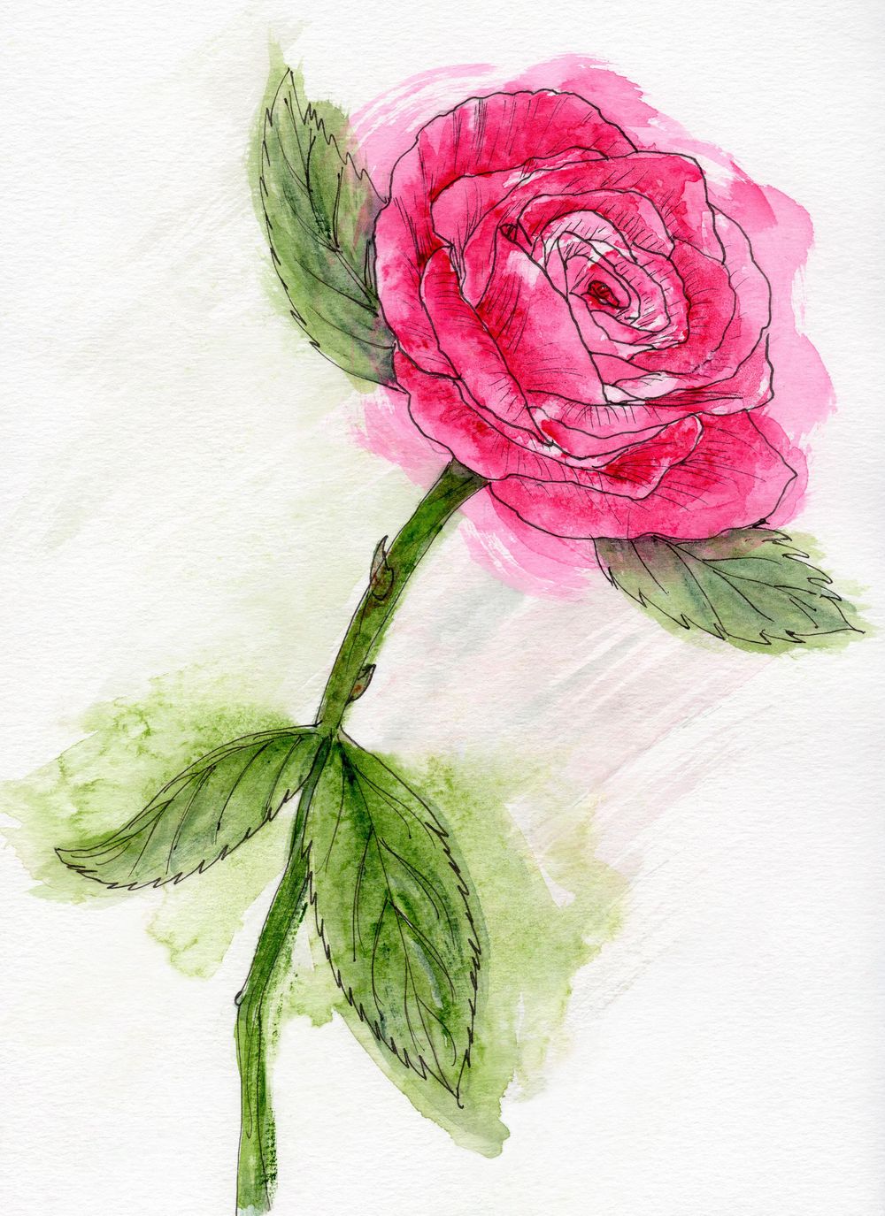 Cerise Rose - image 1 - student project