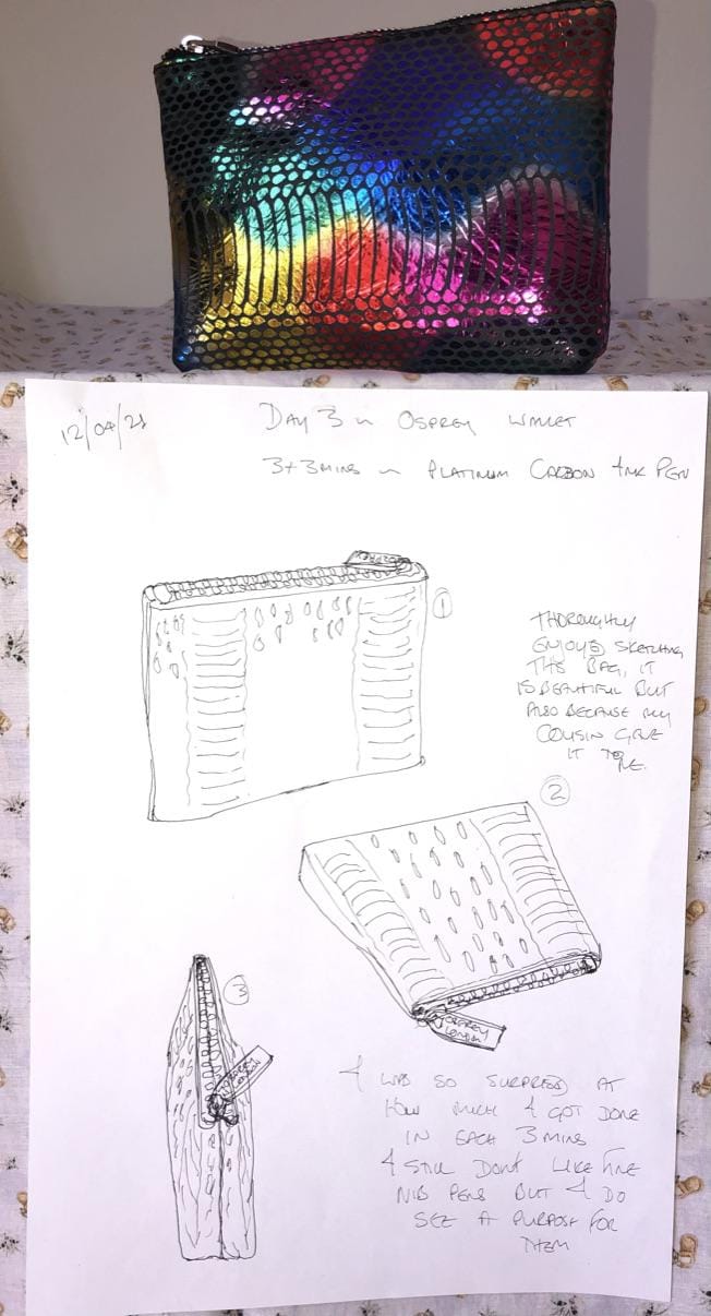 My 14 Day Art Practise - image 3 - student project