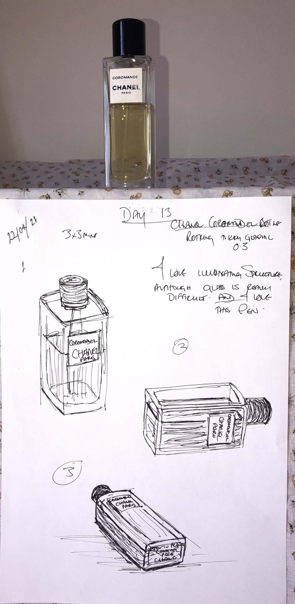My 14 Day Art Practise - image 13 - student project