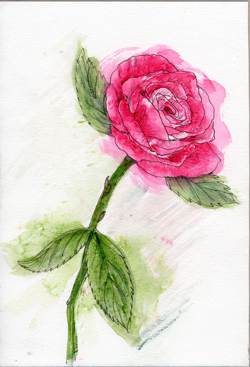 Cerise Rose - image 2 - student project