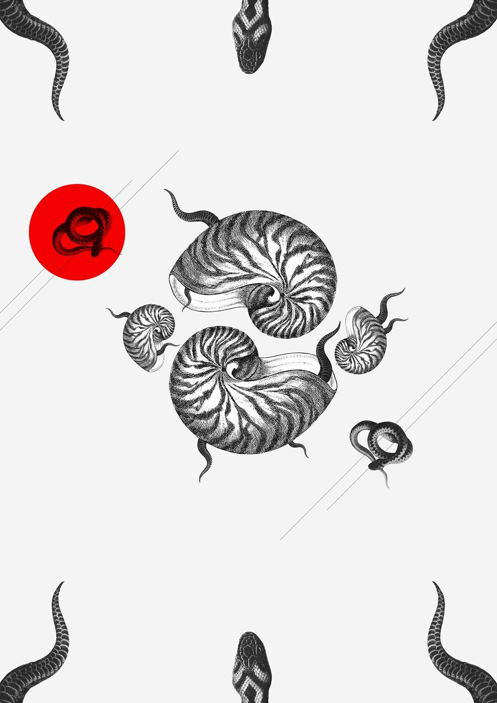 Tails and tentacles - image 5 - student project