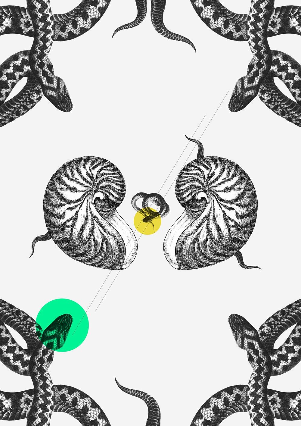 Tails and tentacles - image 3 - student project
