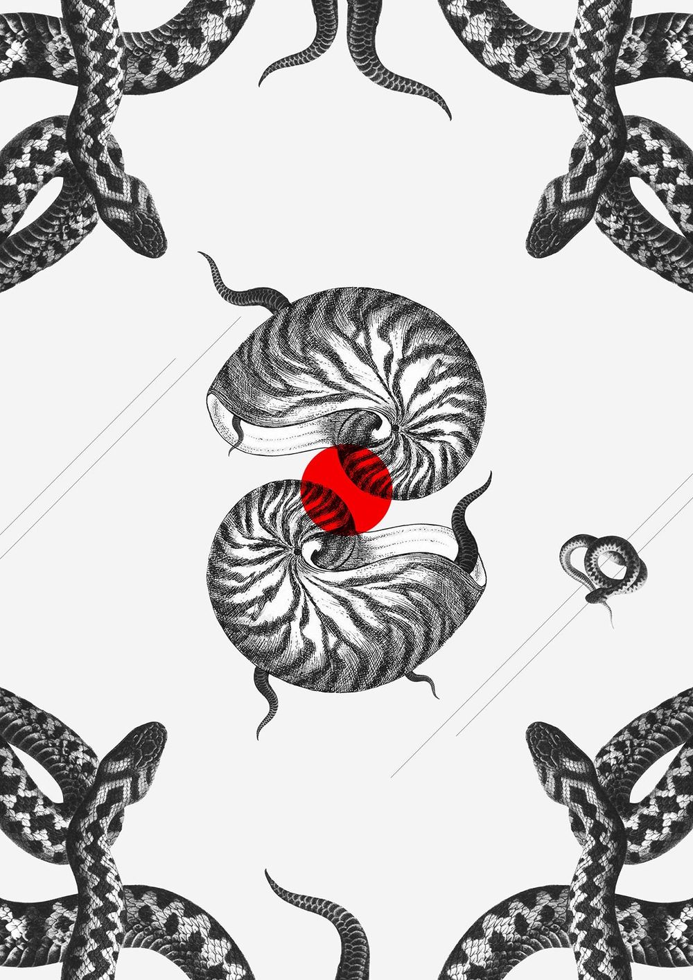 Tails and tentacles - image 4 - student project