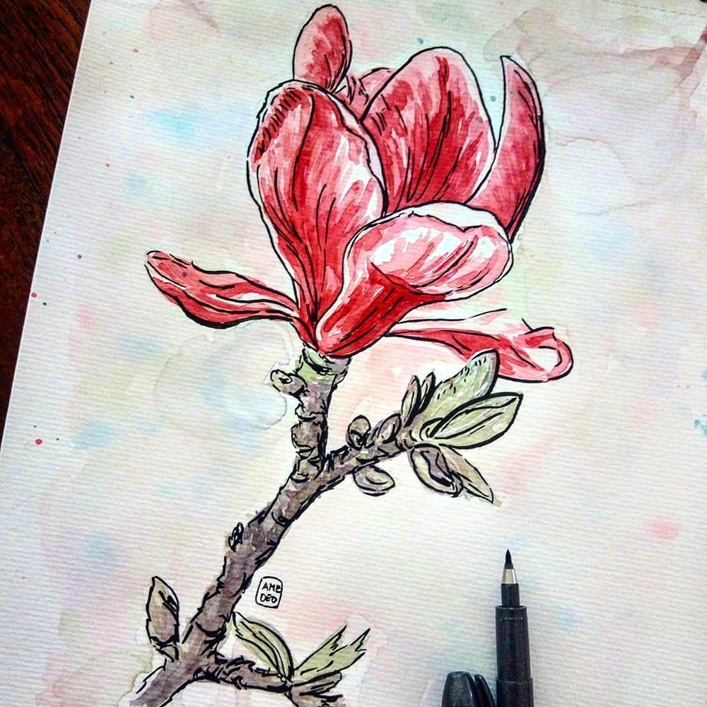 Watercolor Magnolias Skillshare Student Project