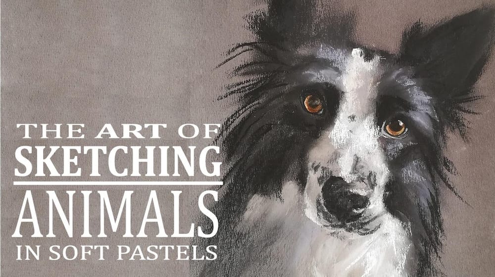 Sketching Animals in Soft Pastels | Coco - image 1 - student project