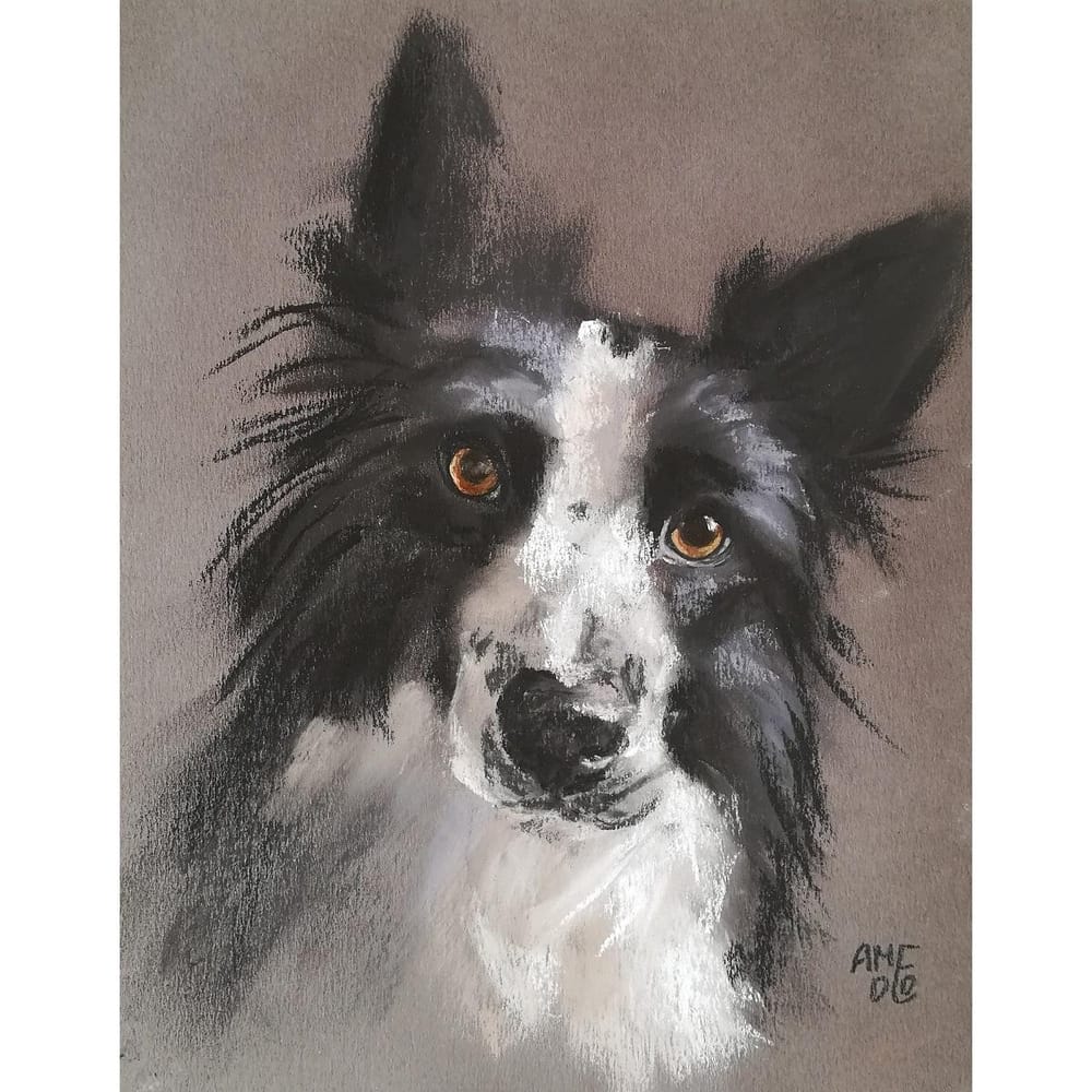 Sketching Animals in Soft Pastels | Coco - image 2 - student project