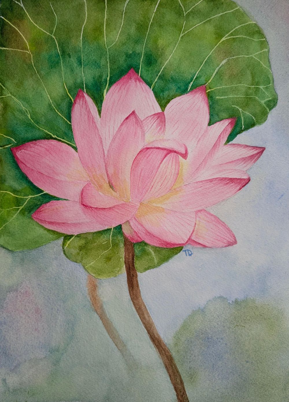 Lotus in watercolor - image 1 - student project