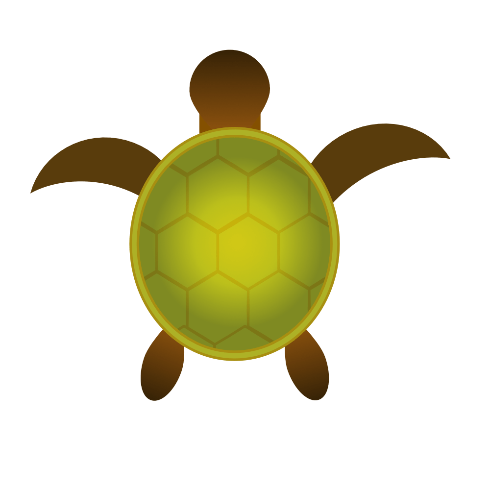 turtle - image 1 - student project