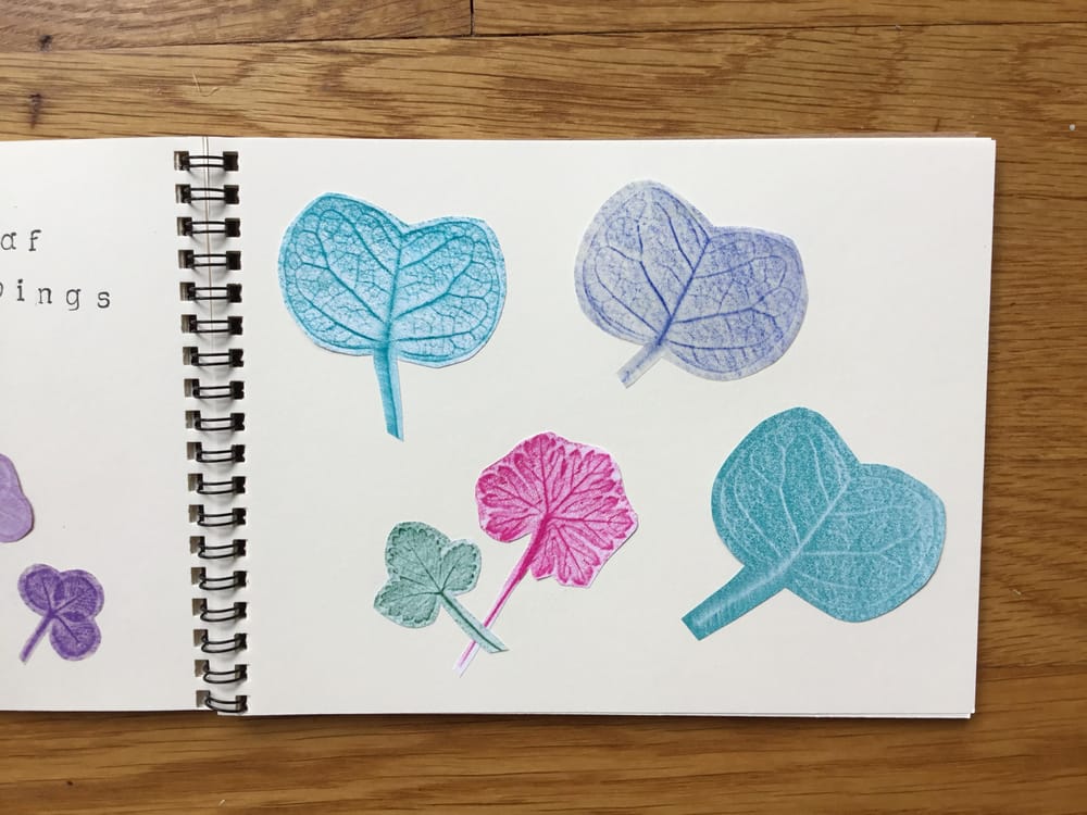 Leaf Rubbings - image 1 - student project
