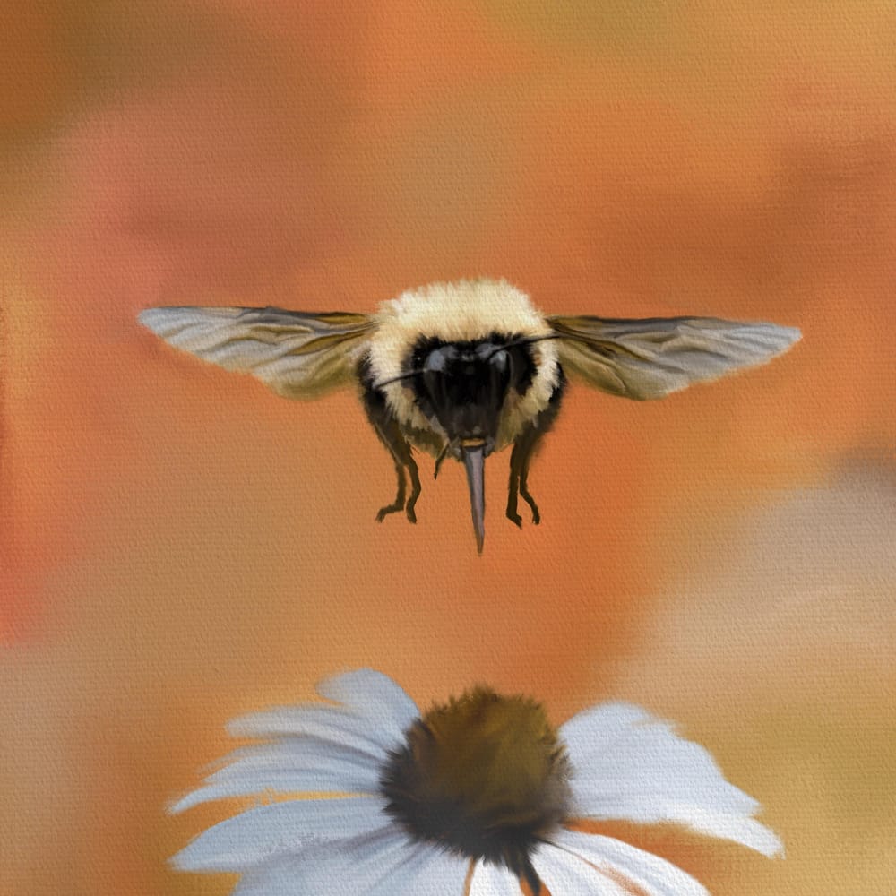 Bee kind - image 1 - student project