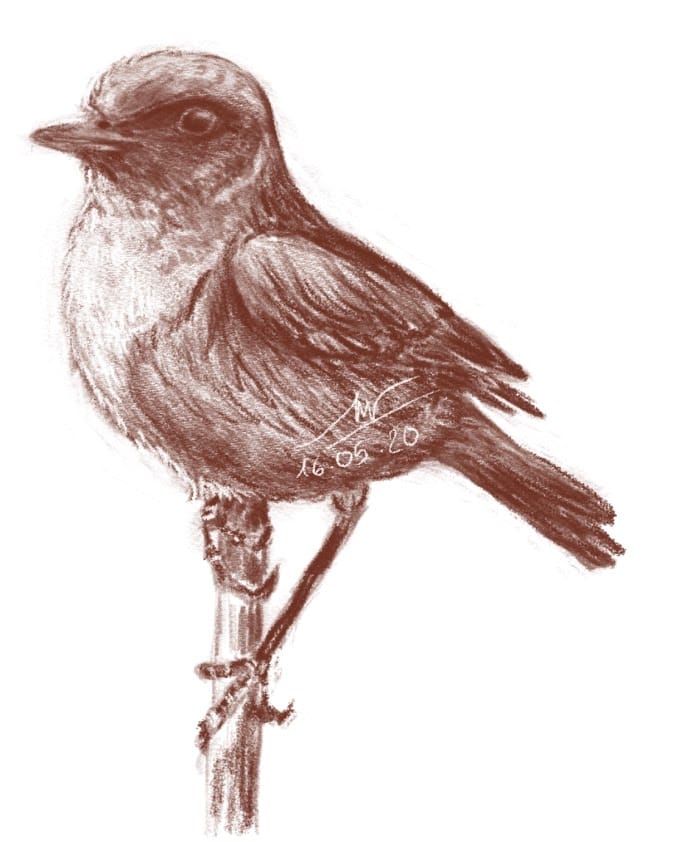 Practice basic skills - image 1 - student project