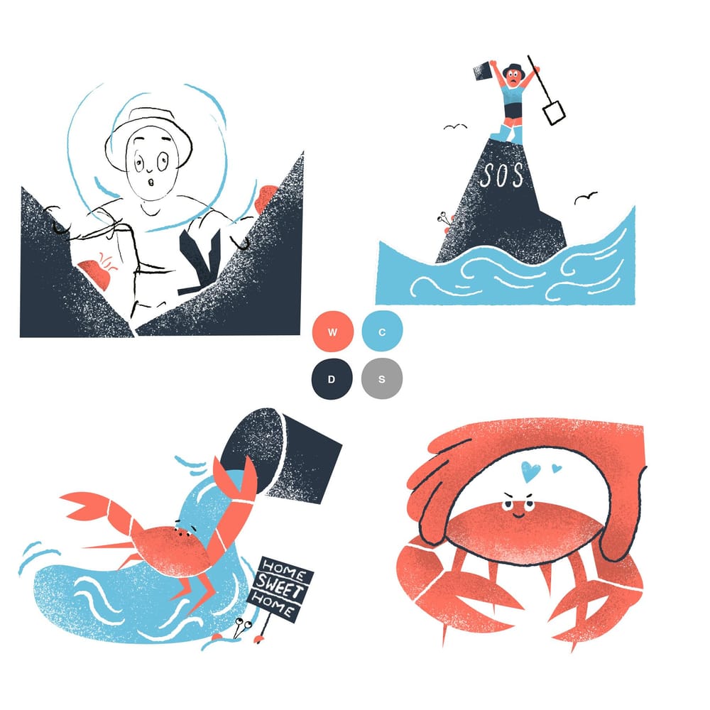 Rockpooling - image 4 - student project